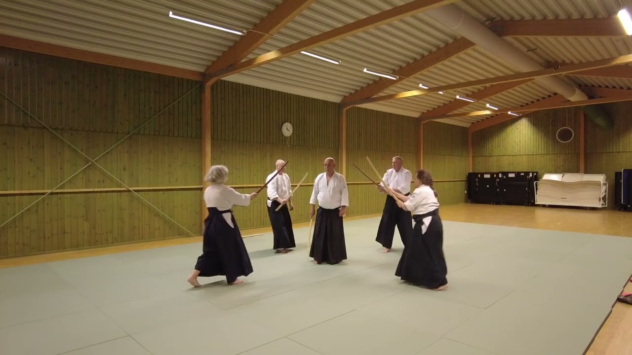 Tsuzukiwaza Achim Hanmi, ver 2, Bokken 2 – 3 – 4