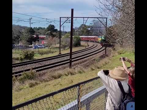 3801 Hydro Express, Climbing into Leura, Blue Mountains Australia