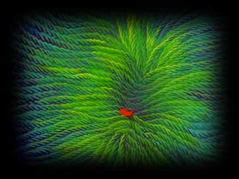 2RAUMWOHNUNG - 2 VON MILLIONEN VON STERNEN.mp4