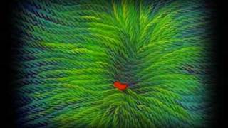 2RAUMWOHNUNG - 2 VON MILLIONEN VON STERNEN.mp4