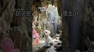 다낭 여행 🇻🇳 현공동굴에서 #영어회화
