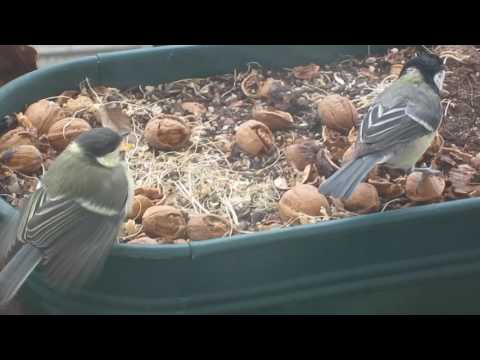 A2-B2 Textproduktion sich erfreuen am Schönen