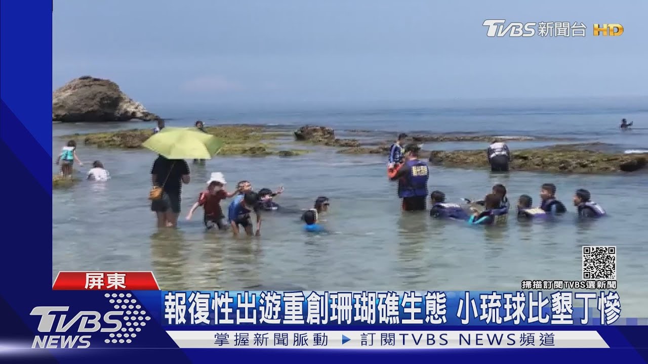 報復性出遊重創珊瑚礁生態　小琉球比墾丁慘