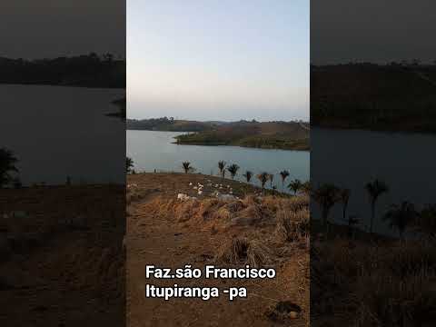 #boanoiteee #brasil #fazenda #itupiranga #para