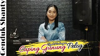 Download lagu Caping Gunung Pelog Versi Tayub Genduk Shanty mp3