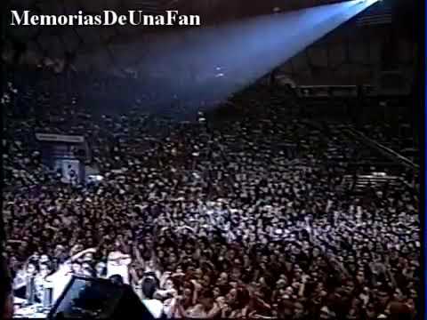 Salserin bella ladrona dm