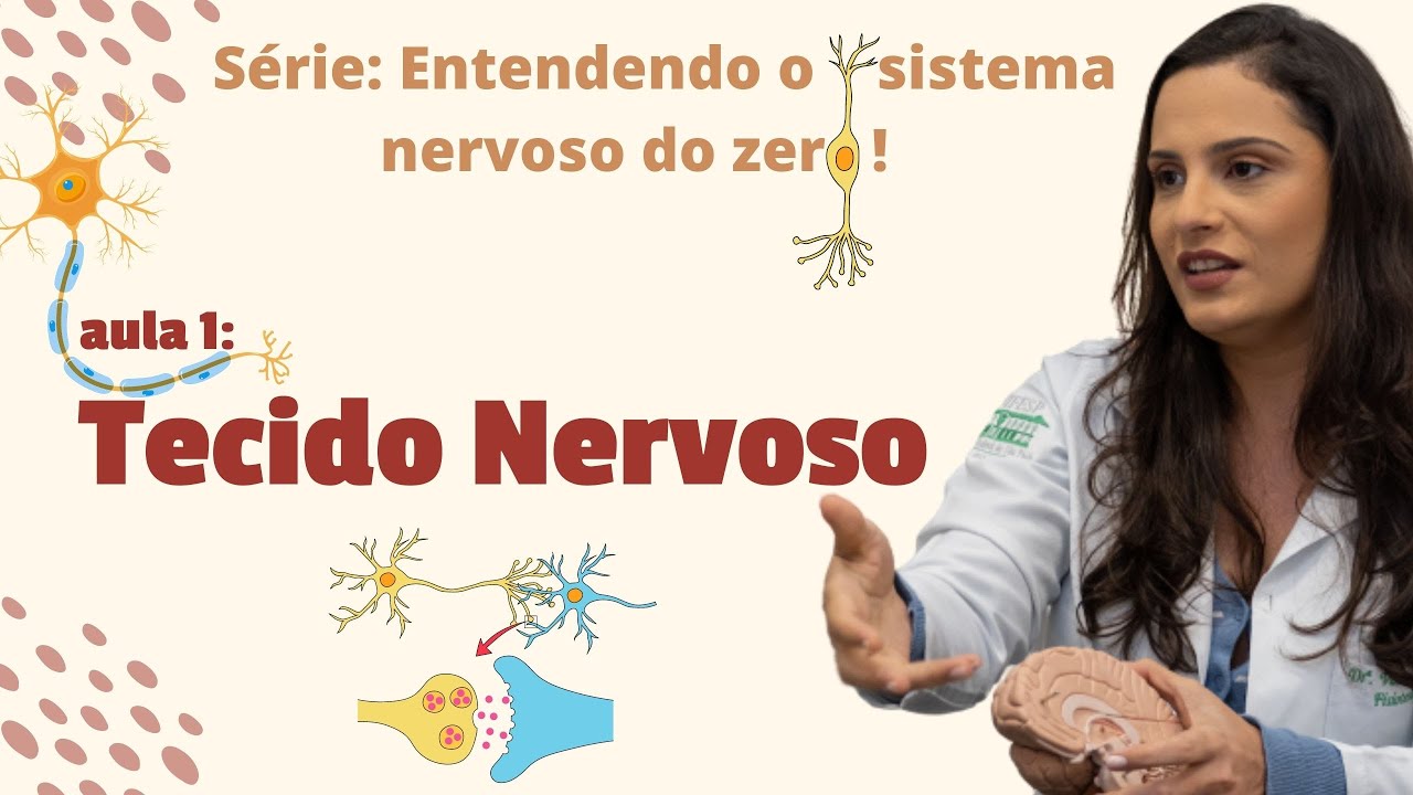 Entenda o sistema nervoso DO ZERO: Aula 1 - Tecido Nervoso