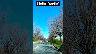 Lynn Anderson / Hello Darlin&#39;. #shorts. Click Subscribe