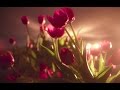 П. И. Чайковский - Вальс цветов из балета Щелкунчик - Tchaikovsky ...