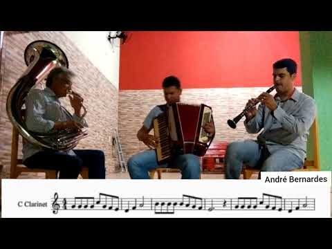 Egnaldo Novaes e companheiros.      388 CCB - Na Cidade Santa - Partitura