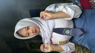 Download lagu tiktok smp gunung gede icasukaicad mp3