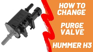 How to Change Purge Valve