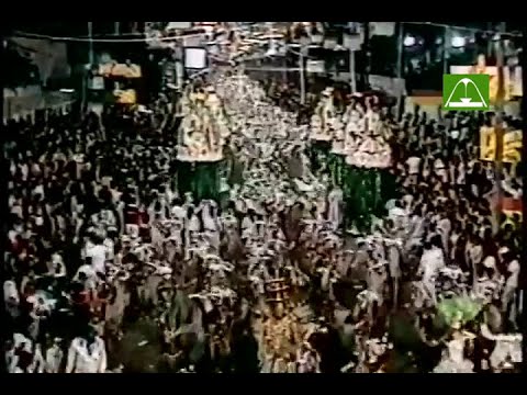 Império Serrano 1981 (Globo)