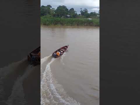 Rio Amazonas, Codajás AM, 28/01/26.