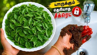 Download lagu மருதாணி இப்படி அரைச்சு வைங்க 10 நிமிடத்தில் பட்டுபோல சிவக்கும் maruthani sivakka tips DYE mp3