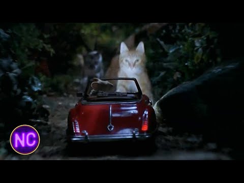 Stuart Little | A Chase Through the Park