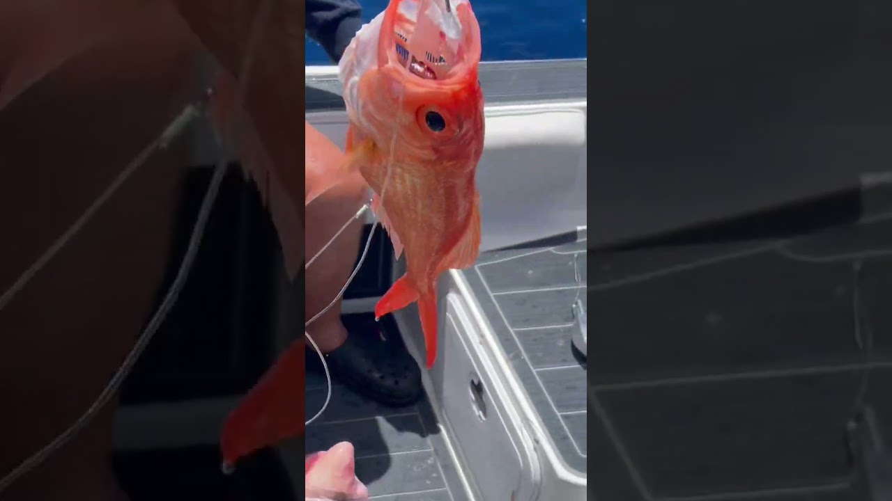 YouTube Short thumbnail