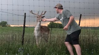 Live Chase - Texas Severe Weather Threat - April 12, 2026