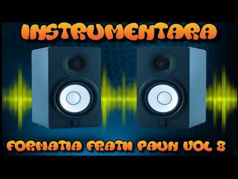 FORMATIA FRATII PAUN VOL 8