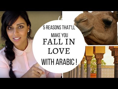 5 Reasons That'll Make You Fall in Love with Arabic! #1