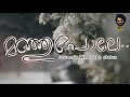 Manju Pole Sceneric Whatsapp Status Dileep Kunchako Boban Master Cuts