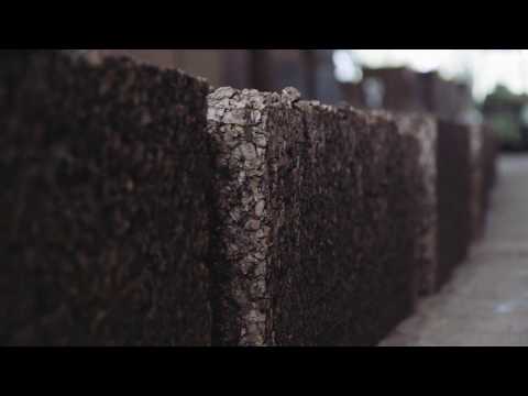 Видеообзор