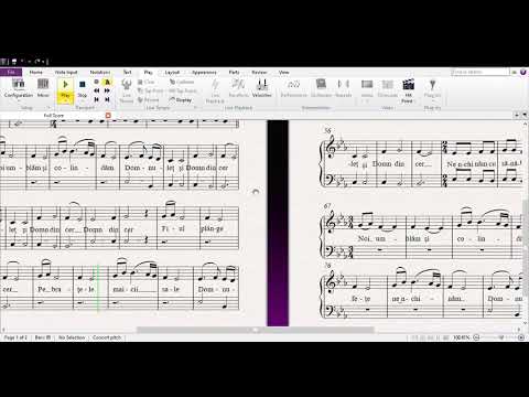 Domnuleţ şi domn din cer