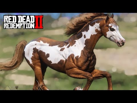 THE HORSE TAMER - In search of the most BEAUTIFUL THOROUGHBREEDS - Red Dead Redemption 2