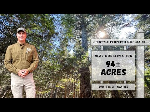 In the Middle of Conservation Land | Maine Real Estate