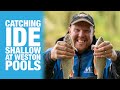 Catching Ide Shallow at Weston Pools