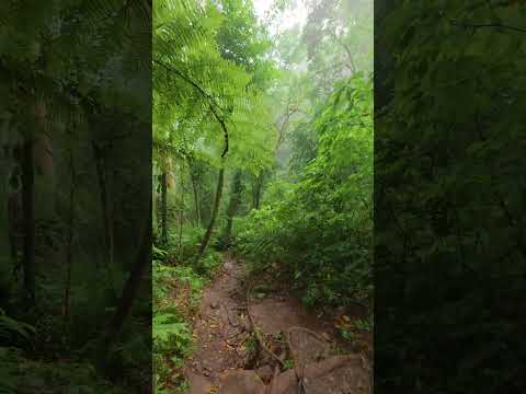 Trilha Pico Camapuã e Tucum - Serra do Ibitiraquire - Montanhismo #trilha #montanha #paraná