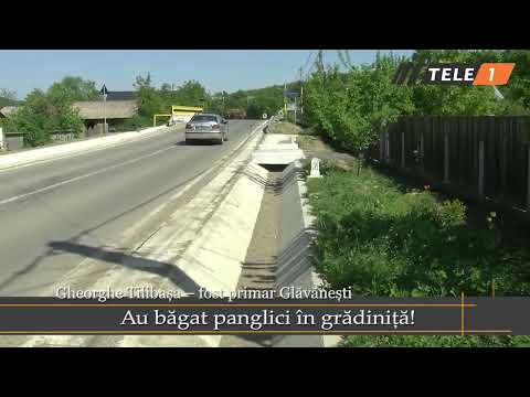 𝐀𝐮 𝐛ă𝐠𝐚𝐭 𝐩𝐚𝐧𝐠𝐥𝐢𝐜𝐢 î𝐧 𝐠𝐫ă𝐝𝐢𝐧𝐢ță!