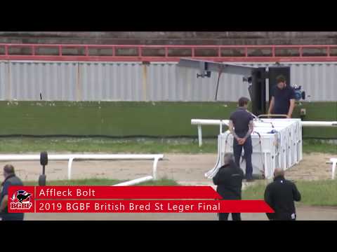 Affleck Bolt - 2019 BGBF St Leger Final