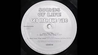 Sounds Of Life - Get Into The Vibe (Groove Pleasure Mix) (1997)