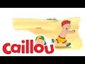 Caillou Caillou At The Beach S01E25 Videos For Kids