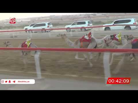    ش 3 (الشامخه) لـ سالم سلطان بن ميرين الكتبي 2:17 , شارة الصندوق 2026/06/07 فطامين الجبيب  