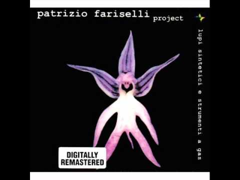 Patrizio Fariselli Project - Risonanze