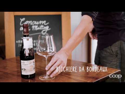 Qual è il bicchiere giusto per i vari tipi di vino?