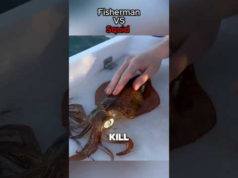 Fisherman VS Squid