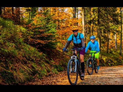 Community Driven: How Engagement Guides the Vision and Planning of a Community Wide Trail Network