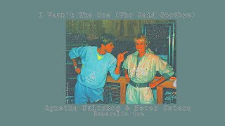~ I Wasn&#39;t The One (Who Said Goodbye) ~ Agnetha Fältskog &amp; Peter Cetera ~