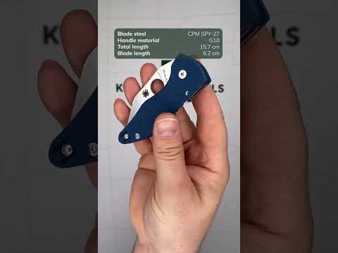 Spyderco Microjimbo Folding Knife - Overview and Review 