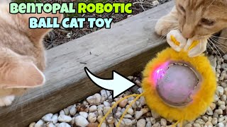 BENTOPAL P16 Automatic Ball Cat Toy 🐈 Gadgetify