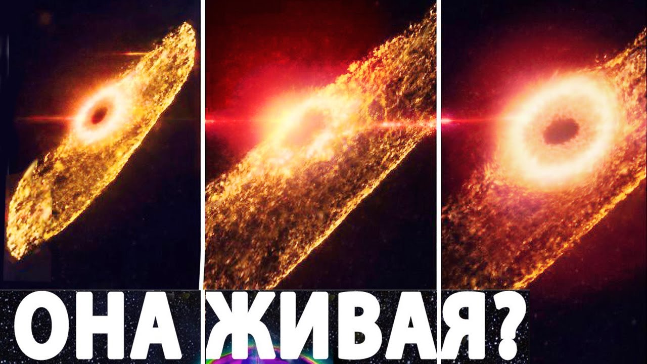 НЕСА: Обнаружена инопланетная цивилизация – сигнал это подтверждает?