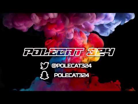 Polecat324 Intro