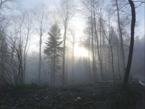 LAKMANN FEAT. KOOL SAVAS - DISTANZIERT (PROD. BY ENAKA) / HÖRPROBE