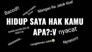 Download lagu Story wa dj wik wik wik mp3