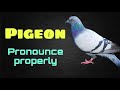Pigeon vs Dove| Pronounce Properly | Spoken English | Conversation Practice