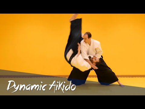 Dynamic Aikido Techniques ft. Guillaume Erard