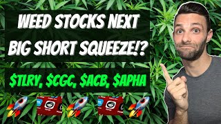 Weed Stocks The Next Big Reddit and WallStreetBets Short Squeeze! $TLRY $CGC $ACB $APHA